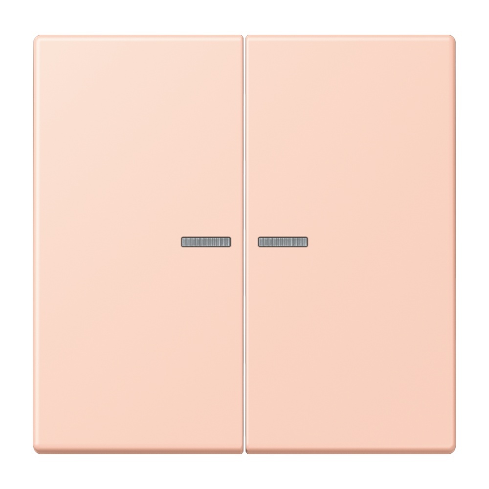 Jung Wippe mit Lichtleiter für Taster 2fach LC102KO5234