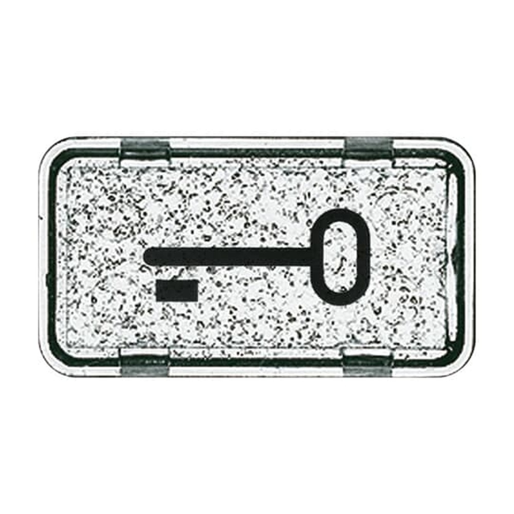 Busch-Jaeger Tastersymbol 2622 TR-101 Nr. 2CKA001714A0286