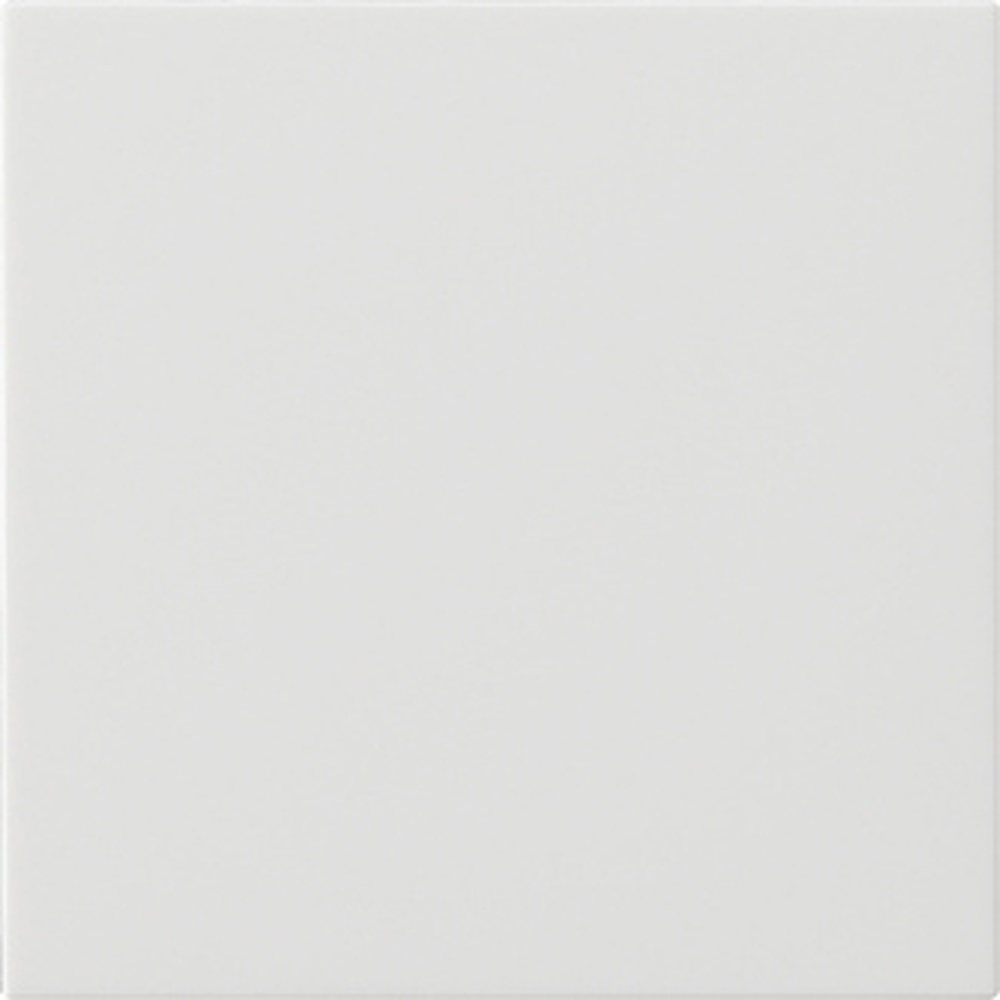 Gira Wippe 1fach 537203