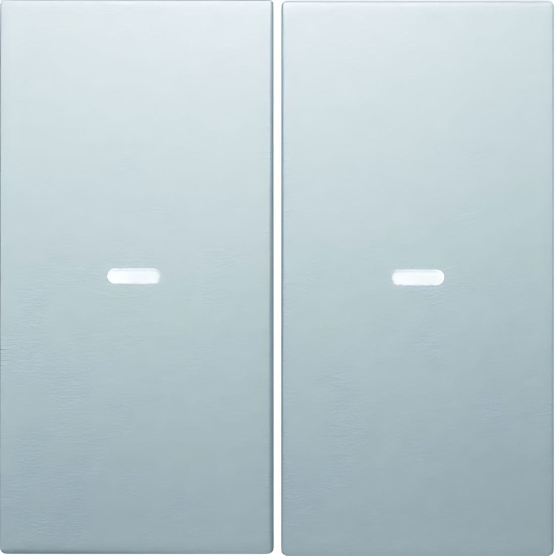 Berker Wippe 80960383