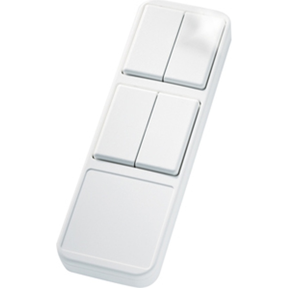 ELTAKO Funk Handsender 30000205 Typ FHS8-wg