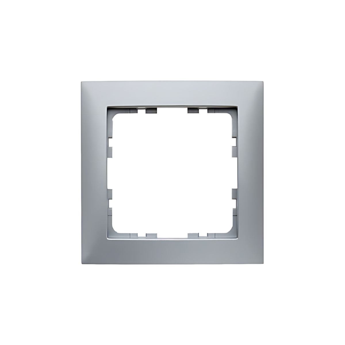 Berker Rahmen 10119939