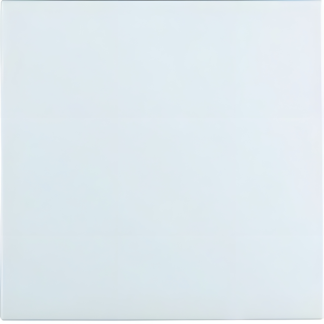 Berker Wippe 16201909