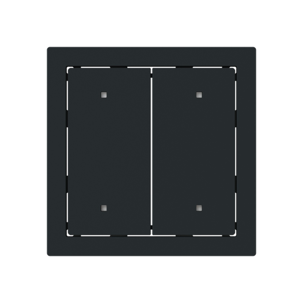 Busch-Jäger Wippe 2570-20-45M Nr. 2CKA001751A3320