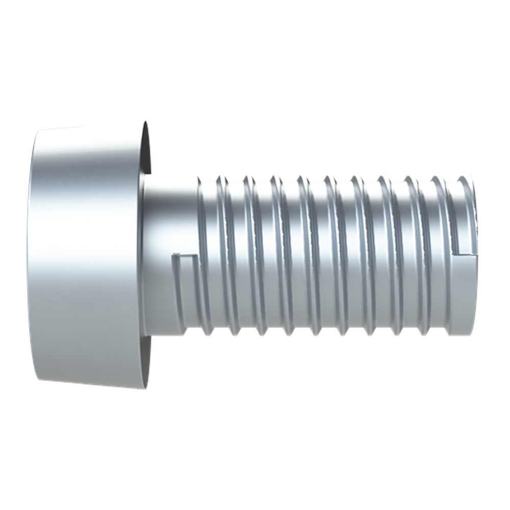 Striebel & John Schraube 4TBV853256C0100 Typ VXXAWNJF