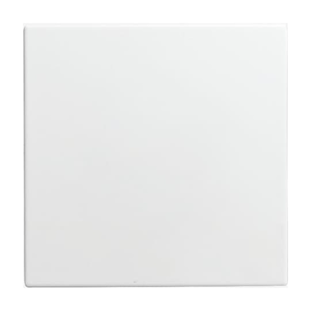 Busch-Jaeger Blindzentralscheibe 1576 C-914 Nr. 2CKA001582A0401