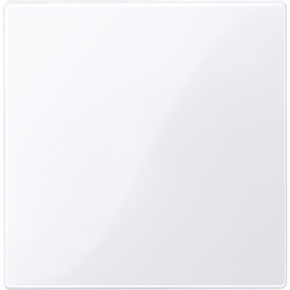 Merten Zentralplatte 450025