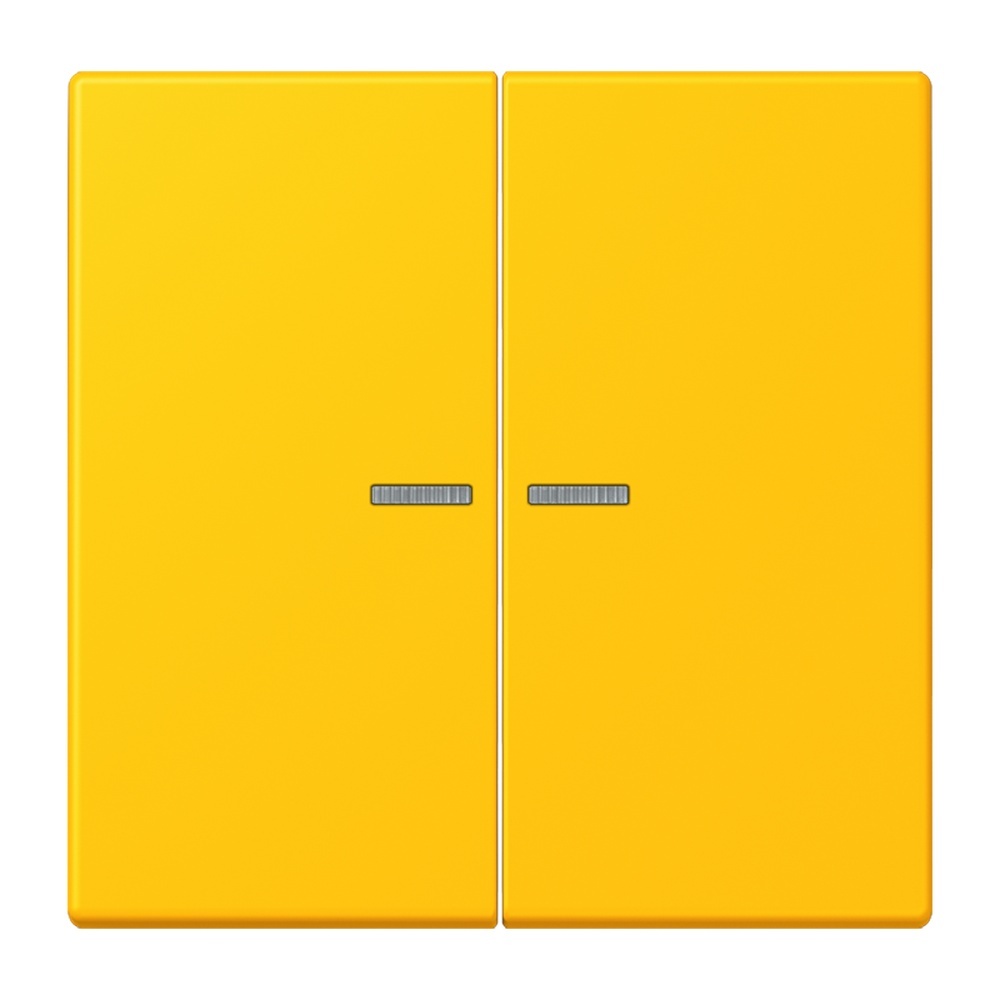 Jung Wippe mit Lichtleiter für Taster 2fach LC102KO5263