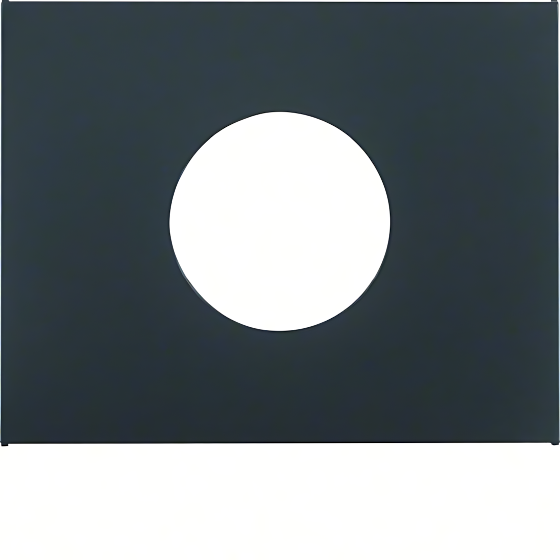 Berker Zentralstück 11657006