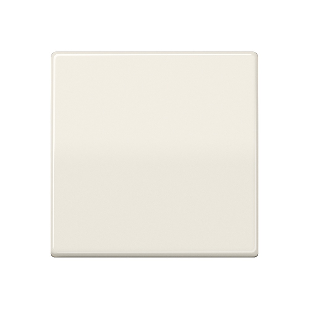 Jung Wippe AS 591 BFS