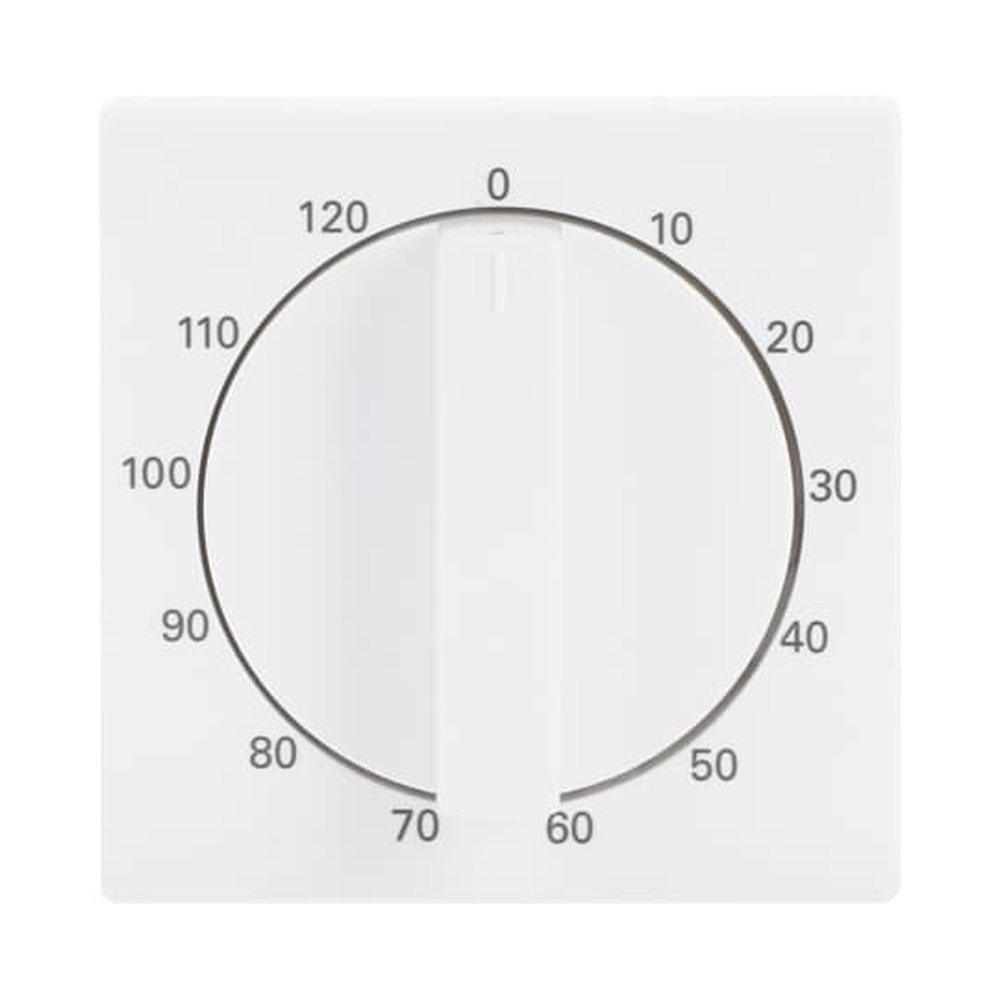 Busch-Jaeger Zentralscheibe 1771-84-103 Nr. 2CKA001753A0301