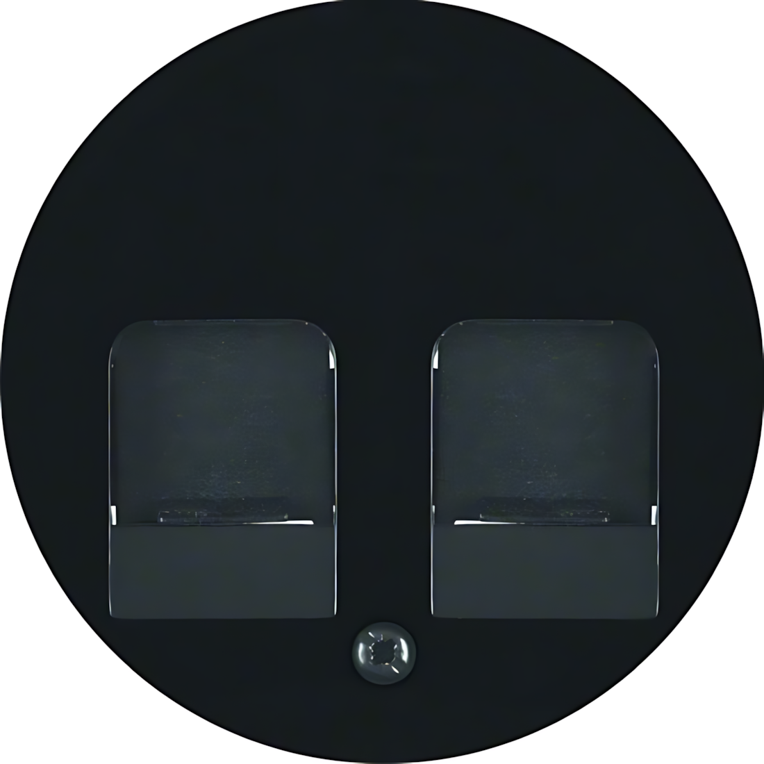 Berker Zentralstück 11812045