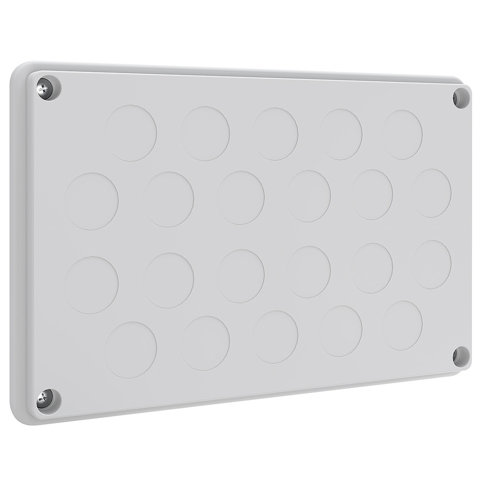 ABN Leitungseinführungsplatte NLP20N10