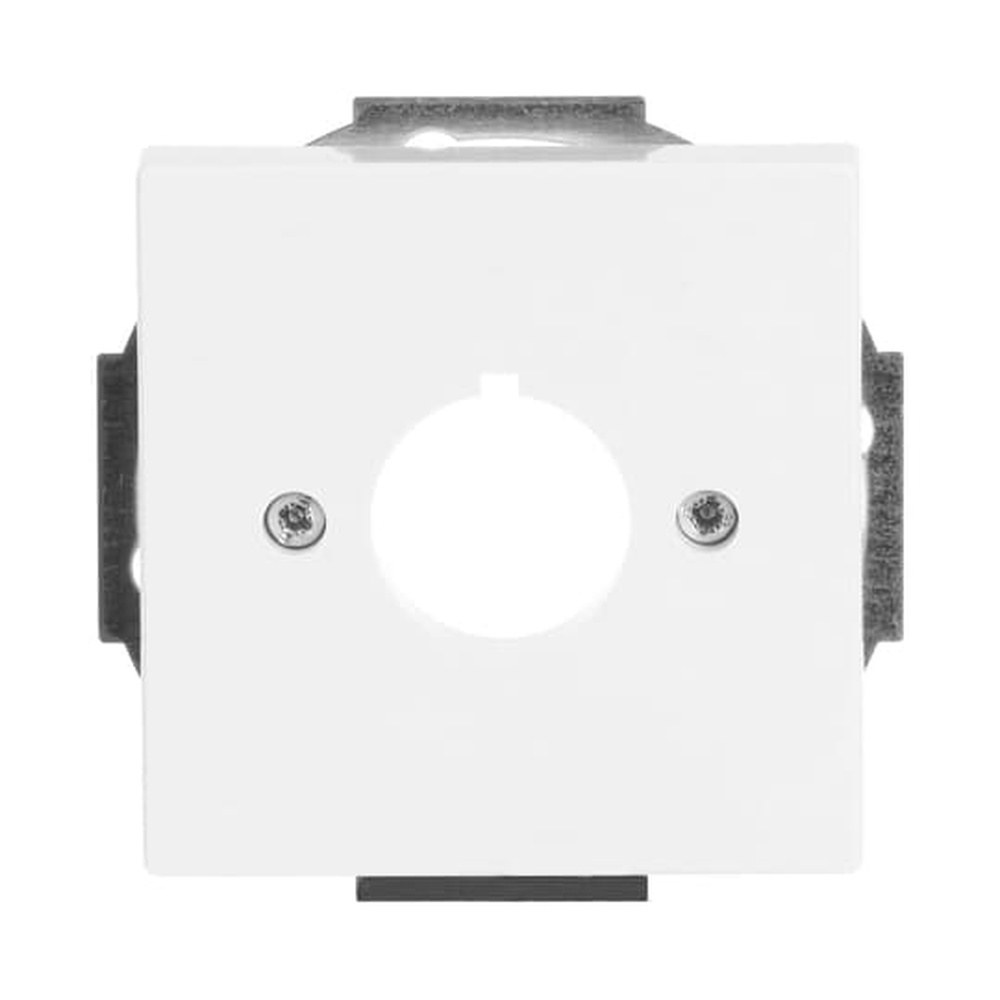 Busch-Jaeger Zentralscheibe 2533-84 Nr. 2CKA001724A4256