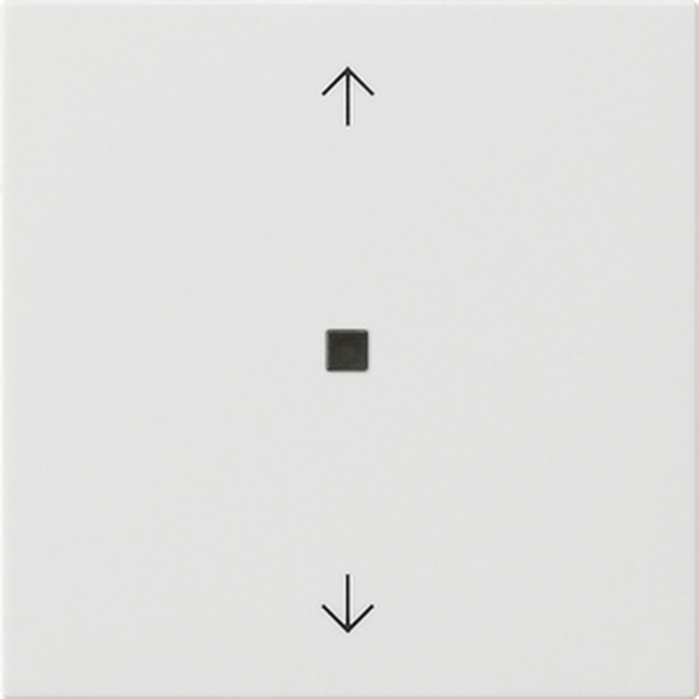 Gira Bedienaufsatz BT 538203