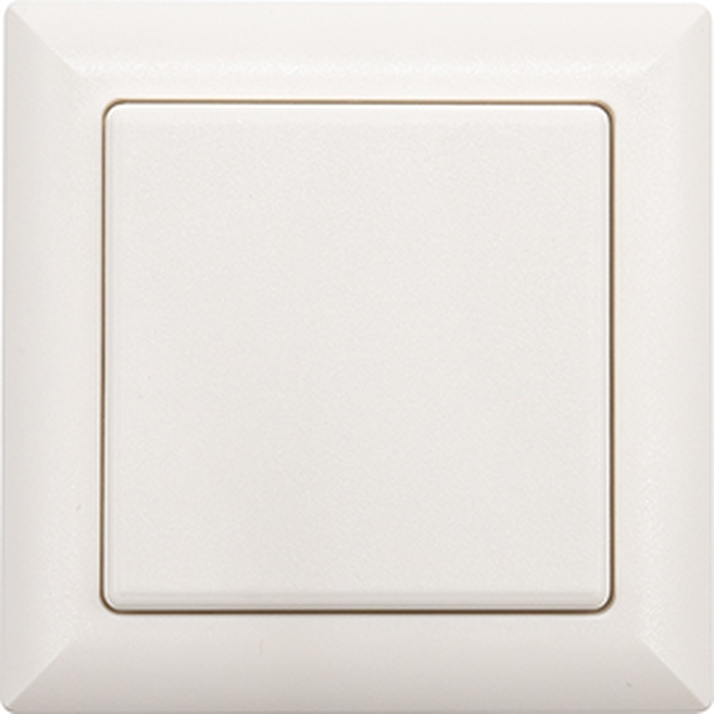 ELTAKO Funktaster 30000590 Typ FT55-ws