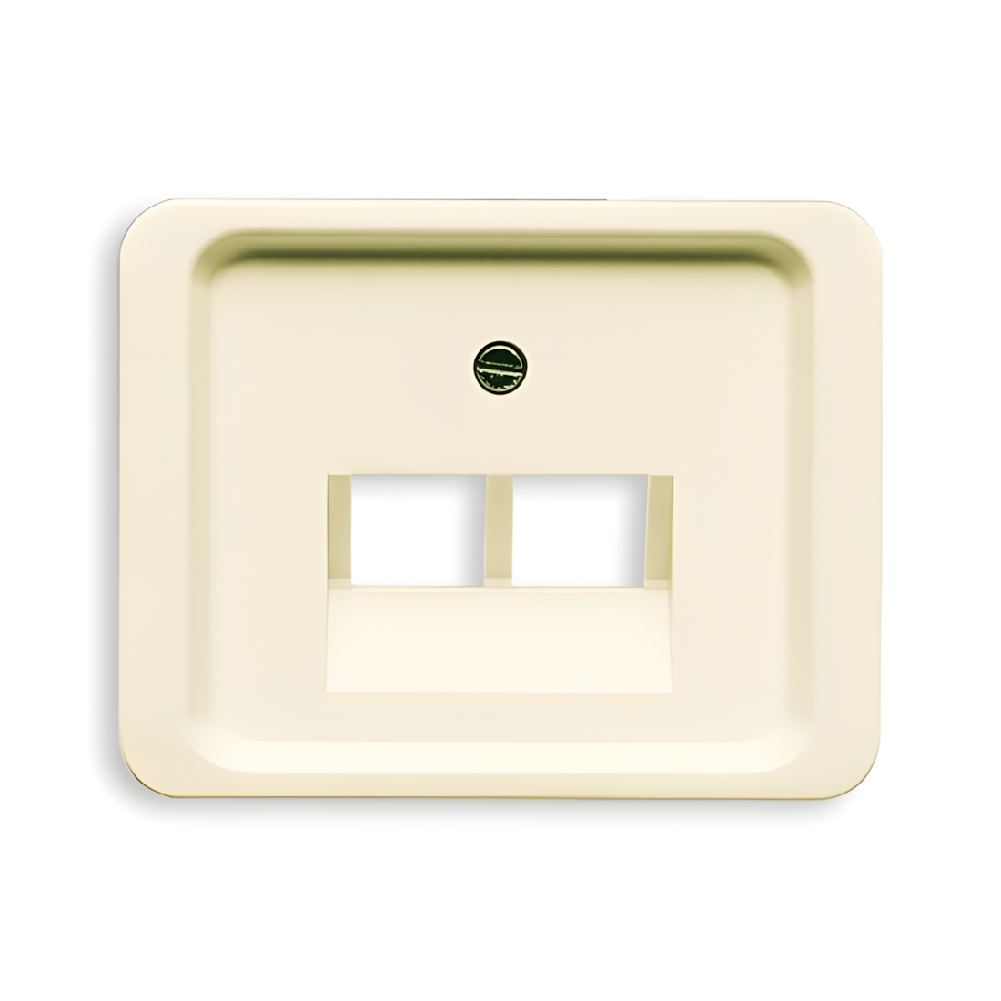 Busch-Jaeger Zentralscheibe 1803-02-22G Nr. 2CKA001710A2611