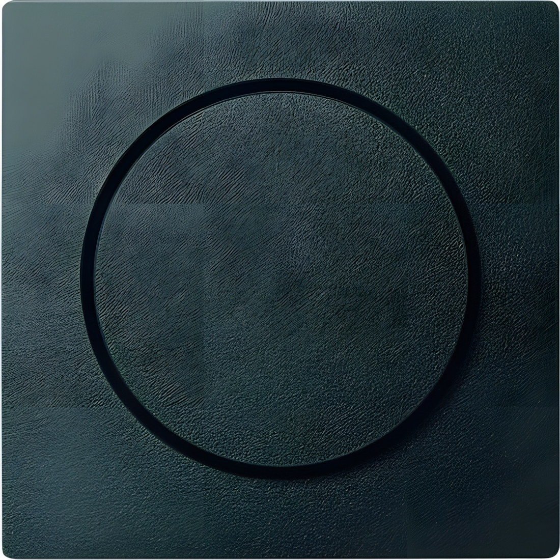 Merten Zentralplatte MEG5250-0414