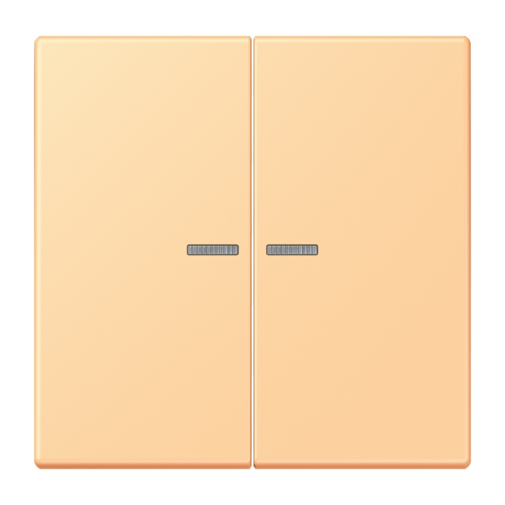 Jung Wippe mit Lichtleiter für Taster 2fach LC102KO5258