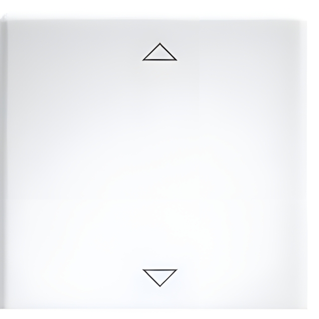 Eltako Wippe 30000982 Typ W-FT55-rw+2P