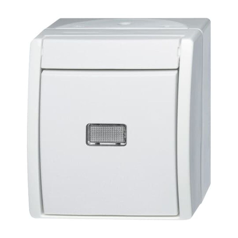 Busch-Jaeger Wipptaster 2621 WGL-54 Nr. 2CKA001484A0381