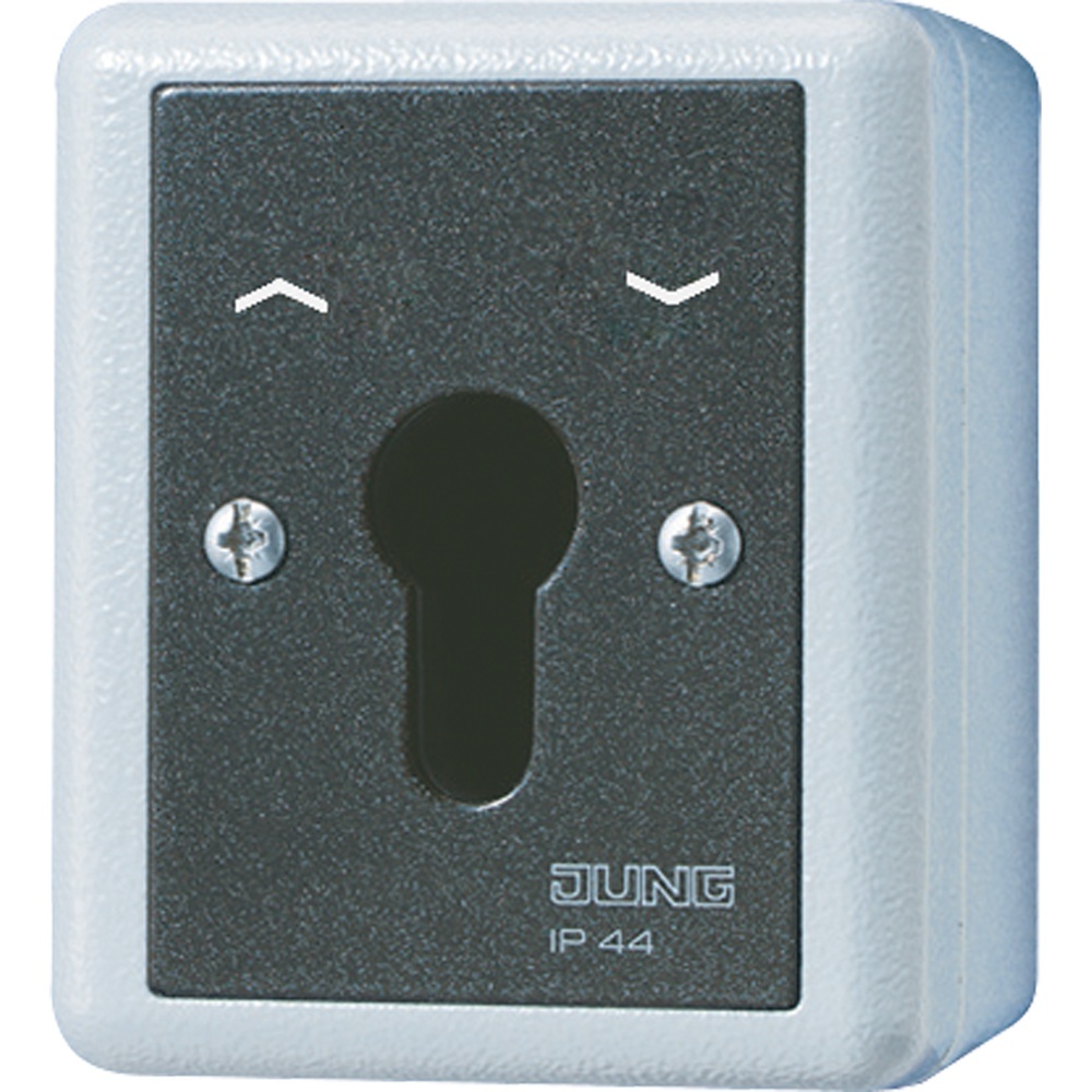 Jung Schlüsselschalter 804.28 G