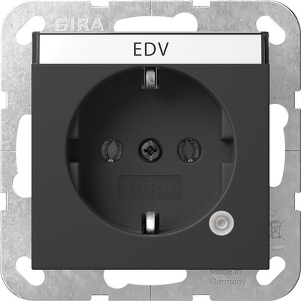 Gira SCHUKO Steckdose 4452005