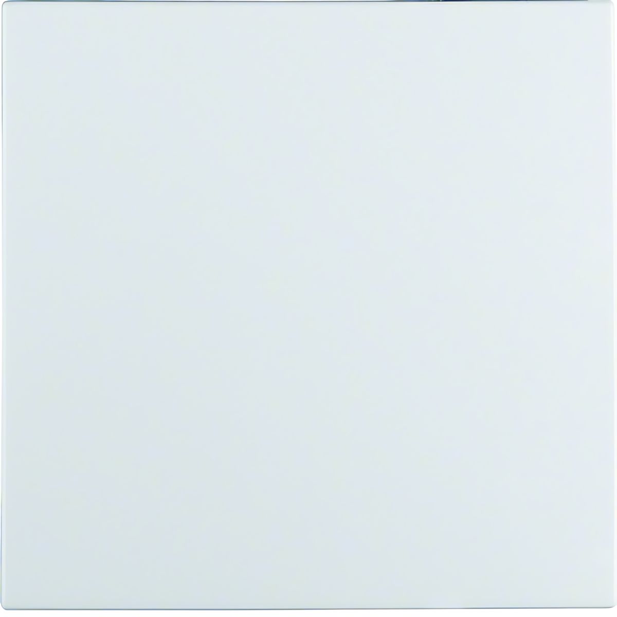 Berker Wippe 16291909