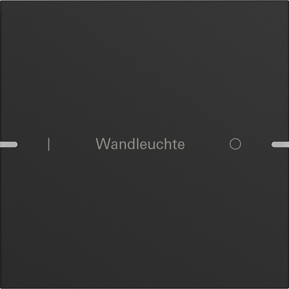 Gira Wippenset 1fach 5031905