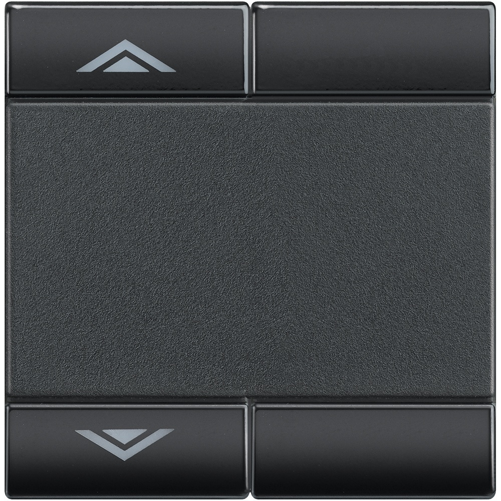 Bticino Wippe L4911M2AHN