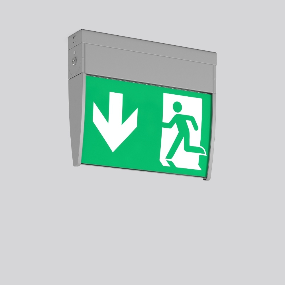 RZB Leuchten Notleuchte Wand u. Deckenleuchte 671996.004.2.89