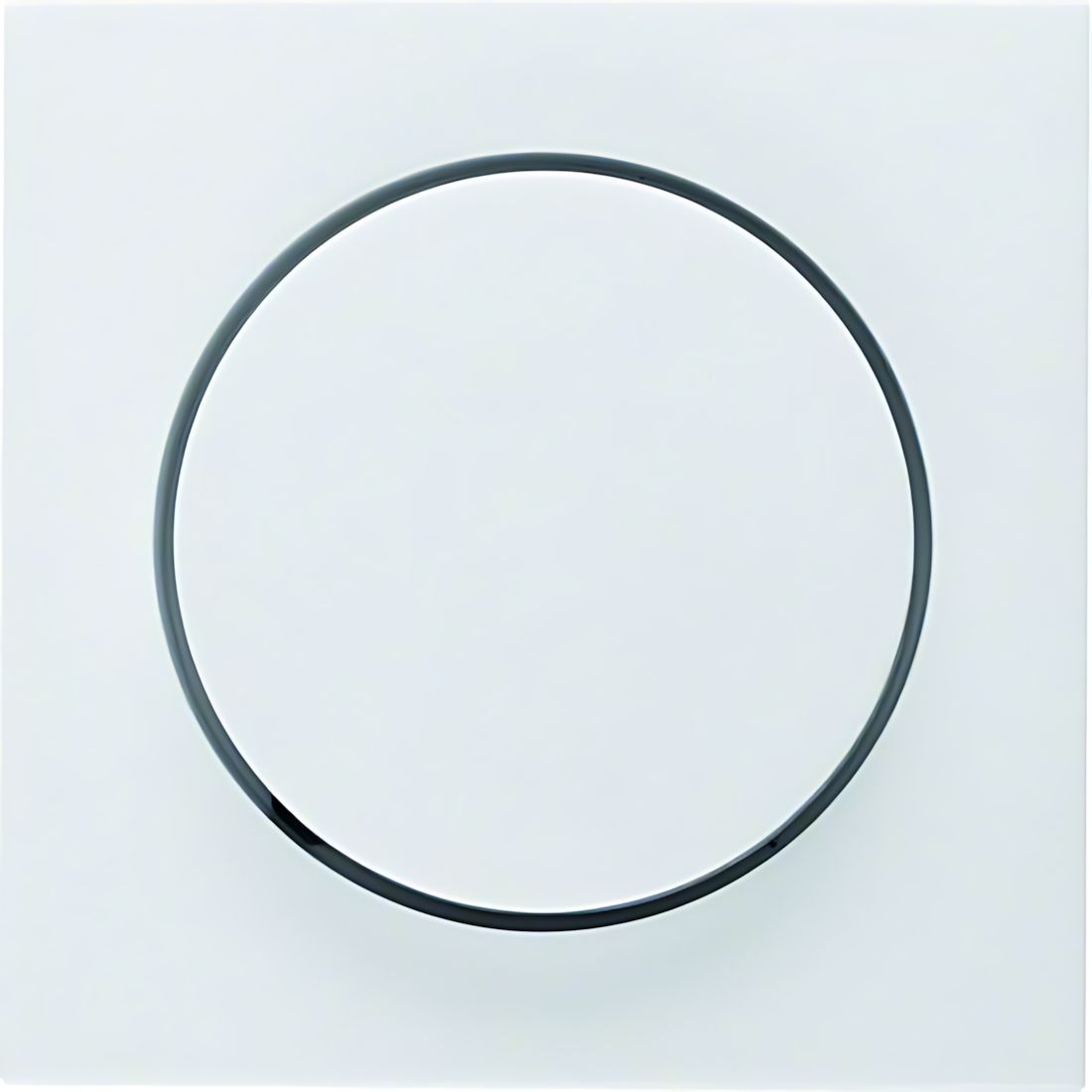 Berker Zentralstück 11378989