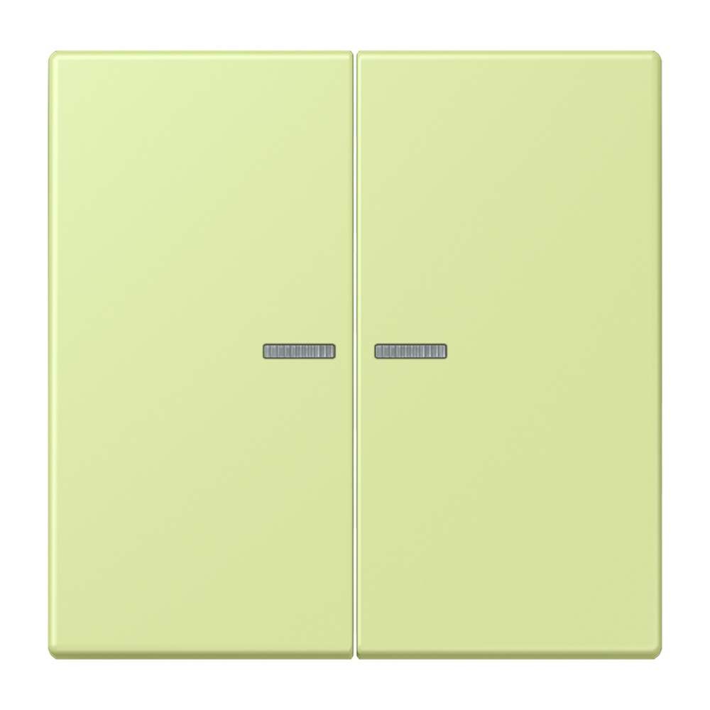 Jung Wippe mit Lichtleiter für Taster 2fach LC102KO5222