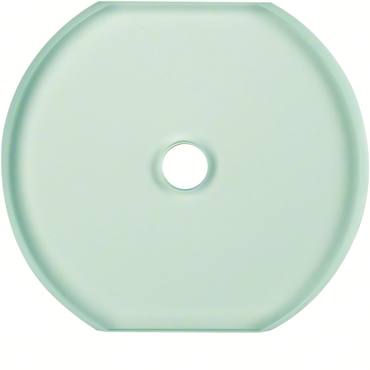 Berker Glas Mittelplatte 109530