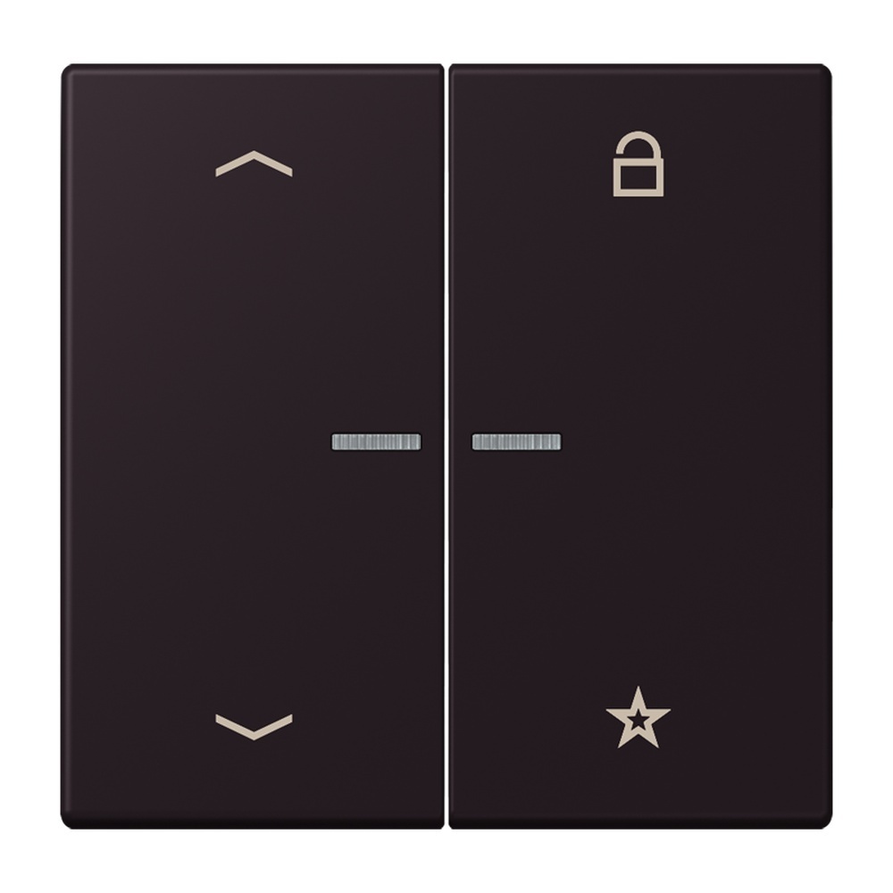 Jung Taster FMLC1701P248