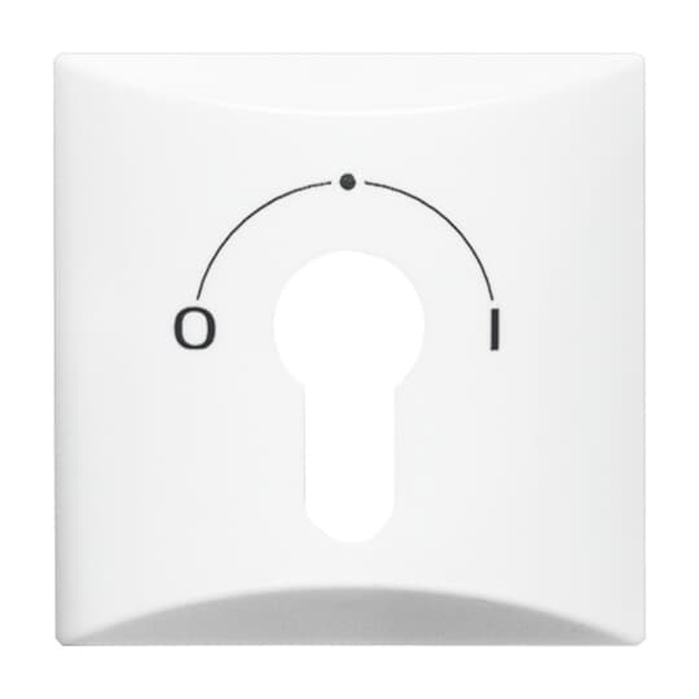 Busch-Jaeger Zentralscheibe 2155 SLPZ-34 Nr. 2CKA001710A1837