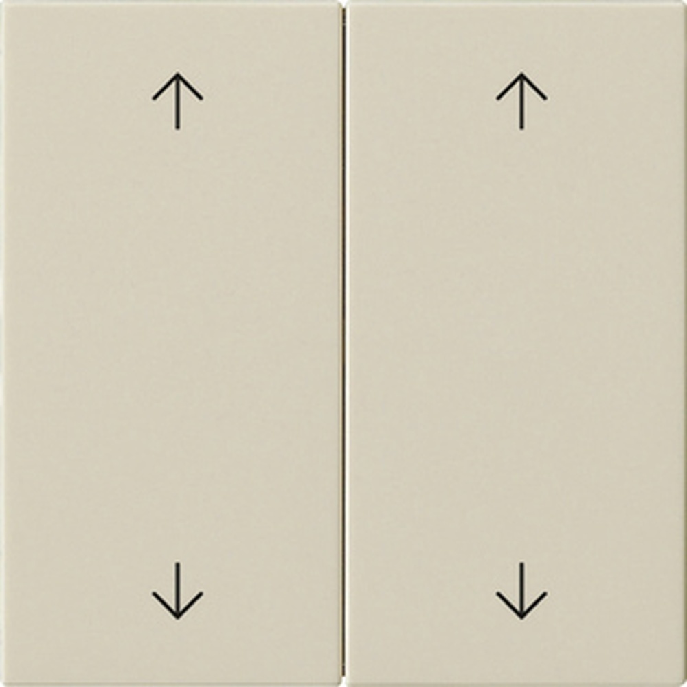 Gira Wippe 2fach 538701