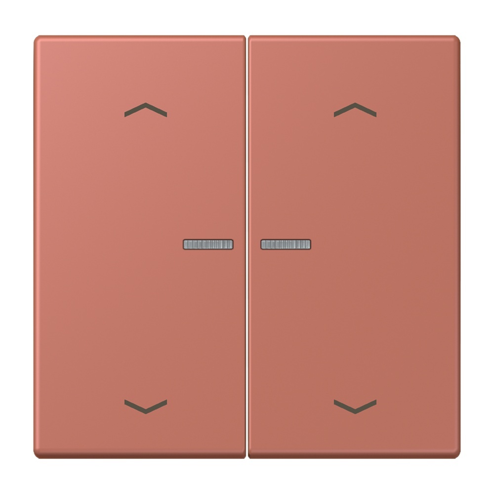 Jung Wippe mit Lichtleiter LC102KO5P236