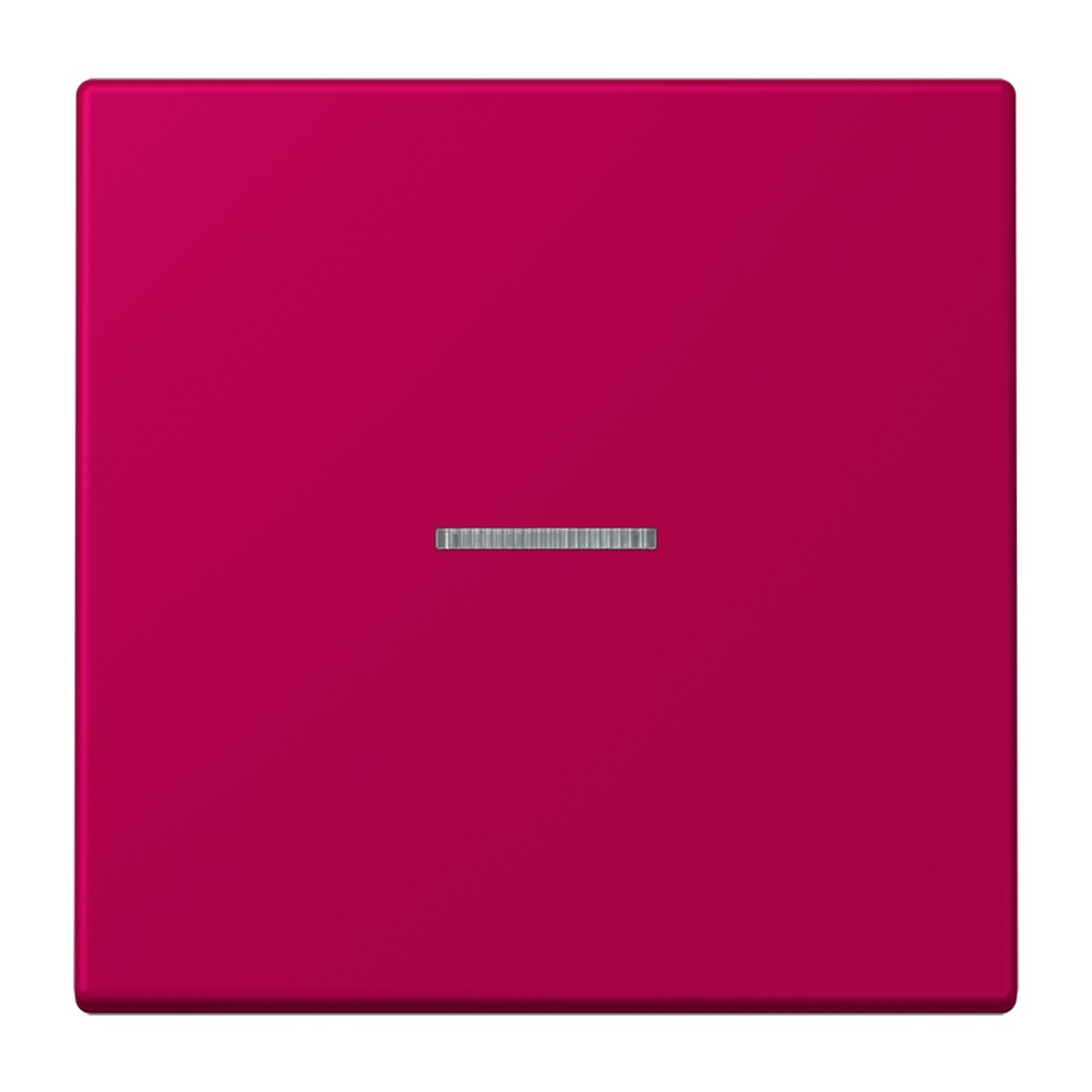 Jung Wippe mit Lichtleiter für Taster 1fach LC101KO5230