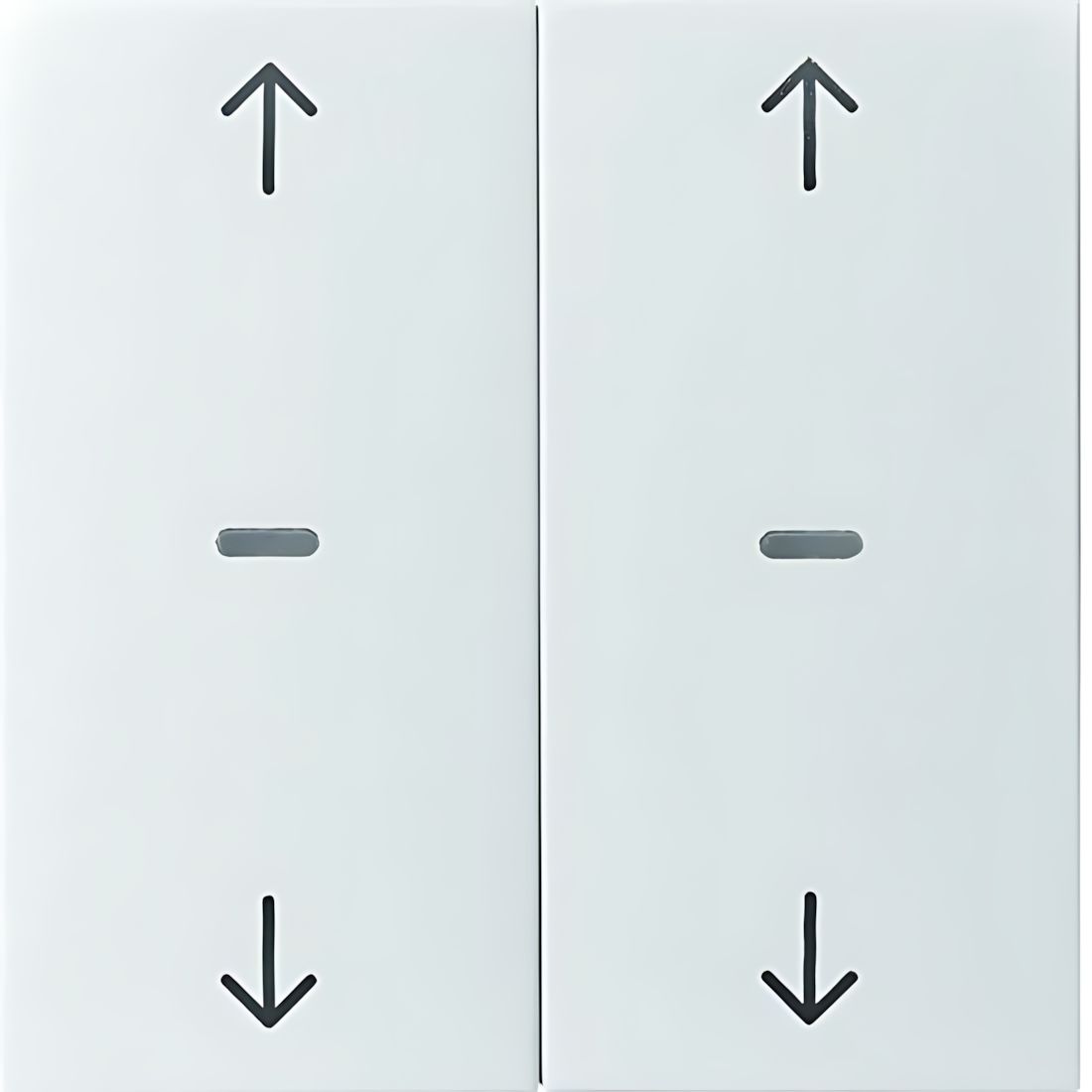 Berker Tastsensor Abdeckung 80961382