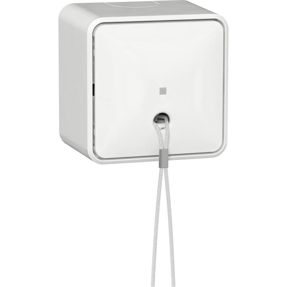 Gira Zugschalter 314613