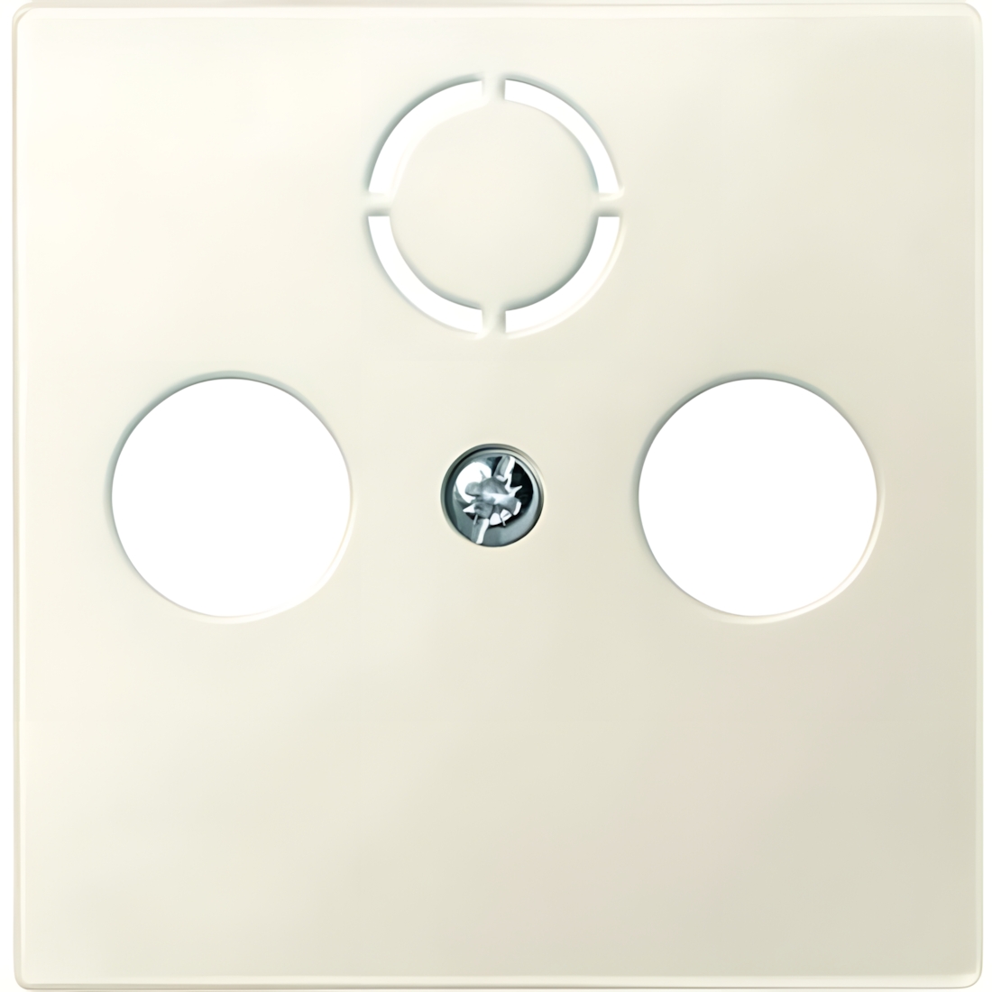 Merten Zentralplatte 297544