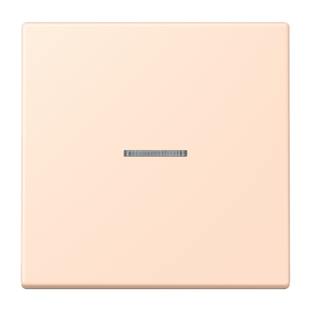 Jung Wippe mit Lichtleiter für Taster 1fach LC101KO5228