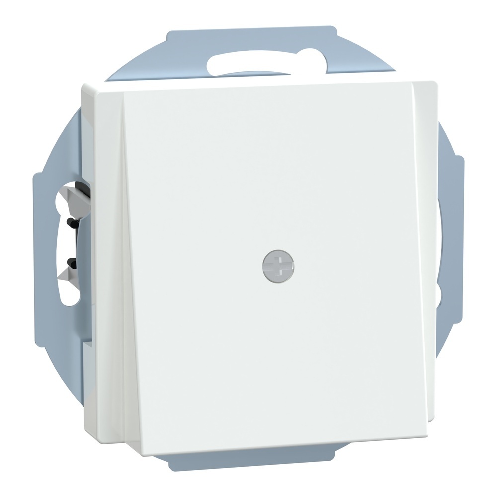 Merten Zentralplatte 296325