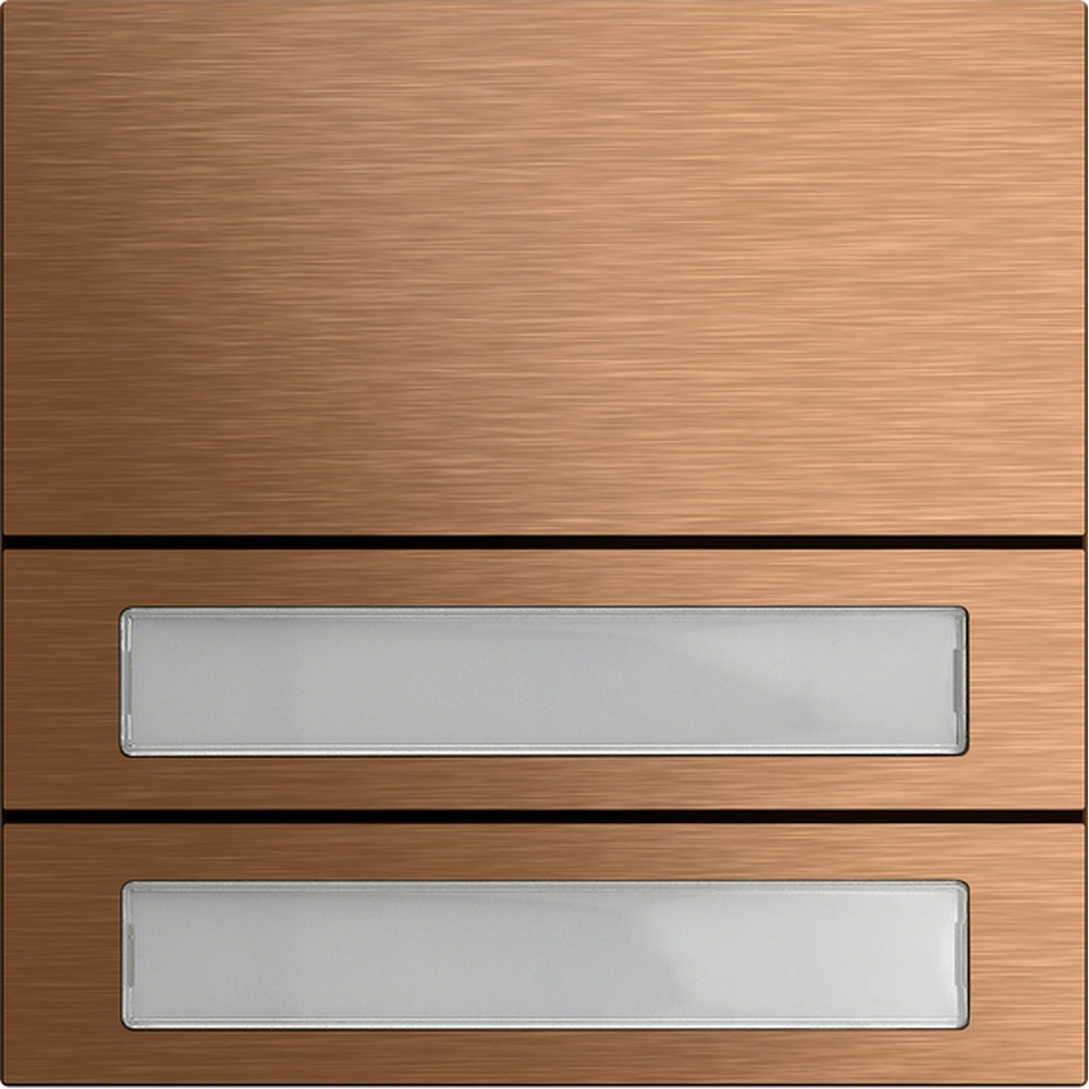 Gira Ruftastenmodul 5532921