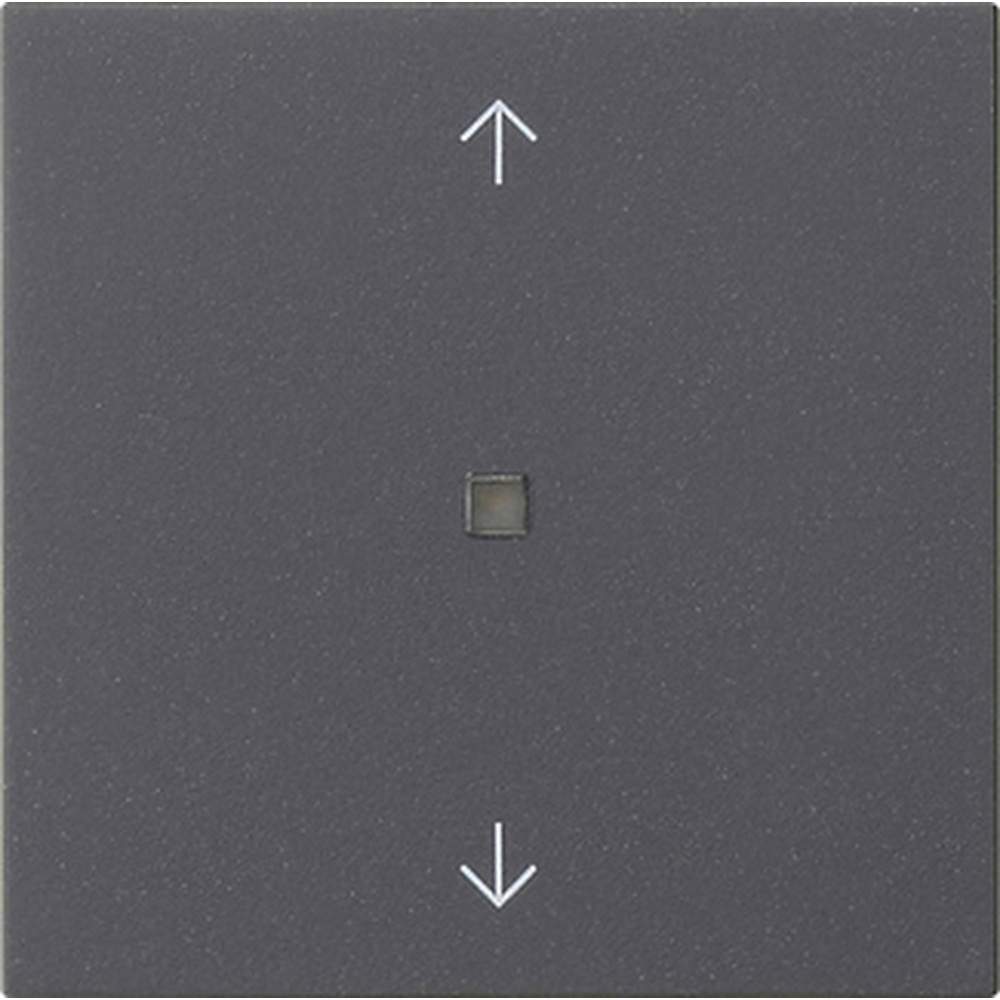 Gira eNet Funk Bedienaufsatz 549428