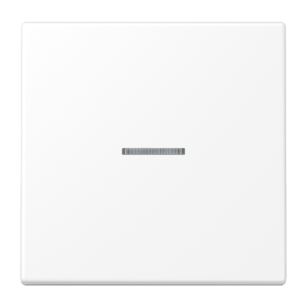 Jung Wippe m. Lichtleiter LS990KO5WWM