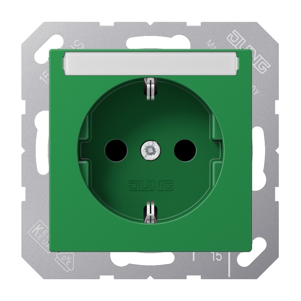 Jung Schutzkontakt Steckdose A 1520 BFKINA GN