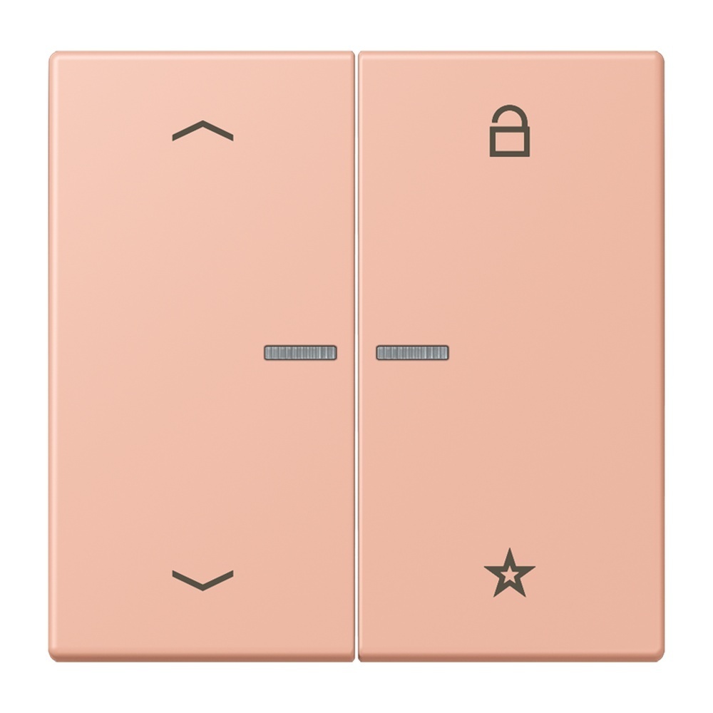 Jung Taster FMLC1701P231