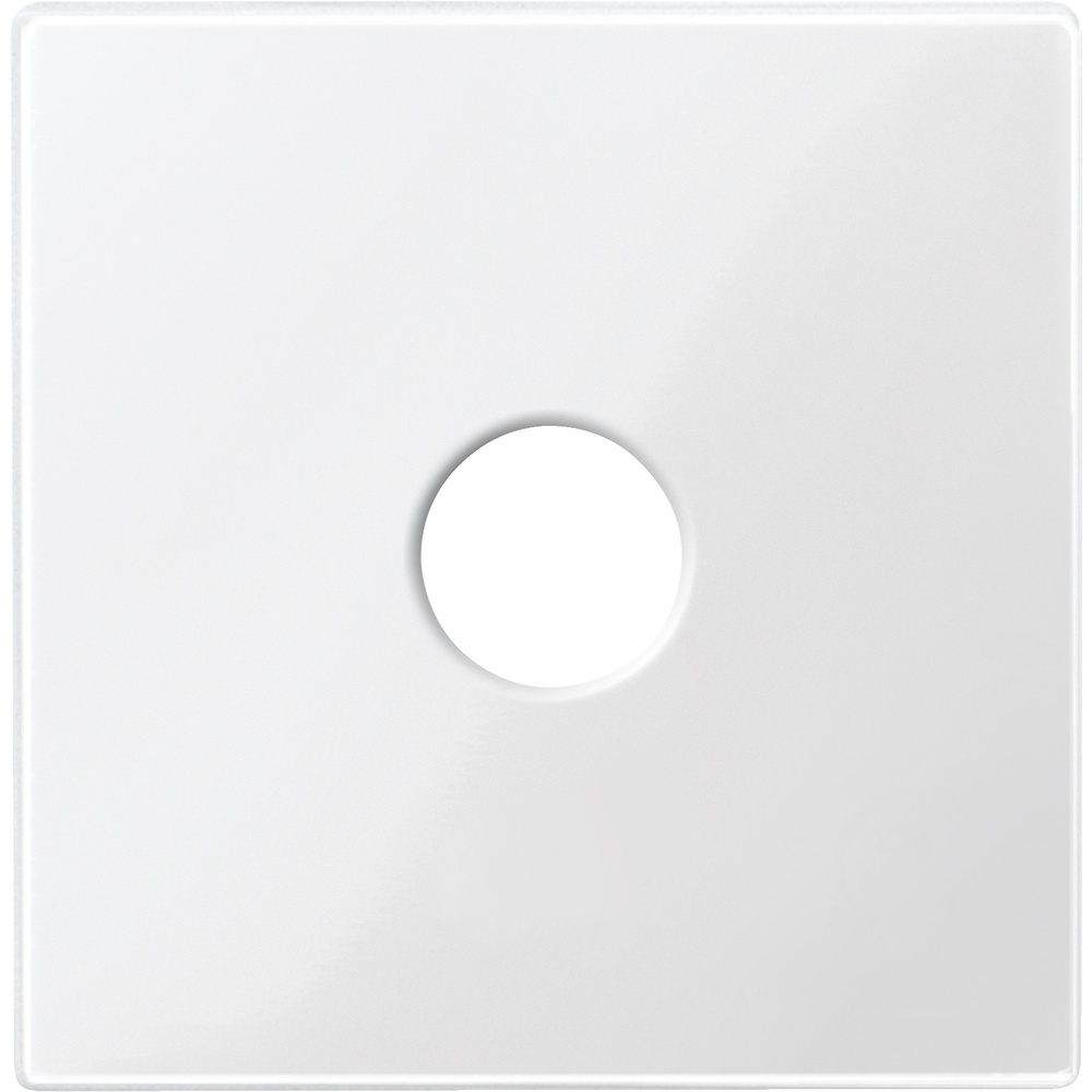 Merten Zentralplatte 451819